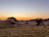 Africa 095
