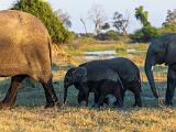 Africa 107