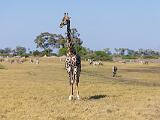 Africa 121