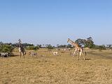 Africa 122