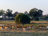 Africa 127