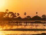 Africa 129