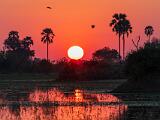Africa 131