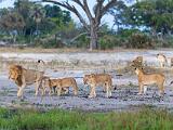 Africa 134