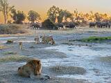 Africa 141