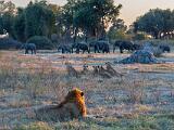 Africa 142