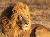Africa 144
