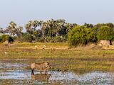 Africa 146