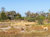 Africa 149