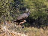 Africa 151