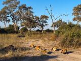 Africa 158