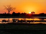 Africa 165
