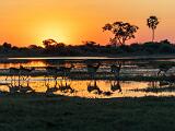 Africa 166