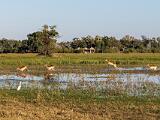Africa 176