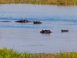 Africa 220