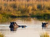 Africa 227