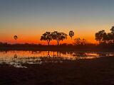 Africa 230