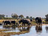 Africa 248
