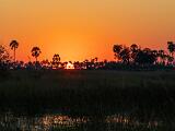 Africa 260