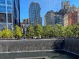New York 017