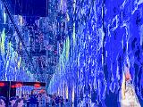 New York 025